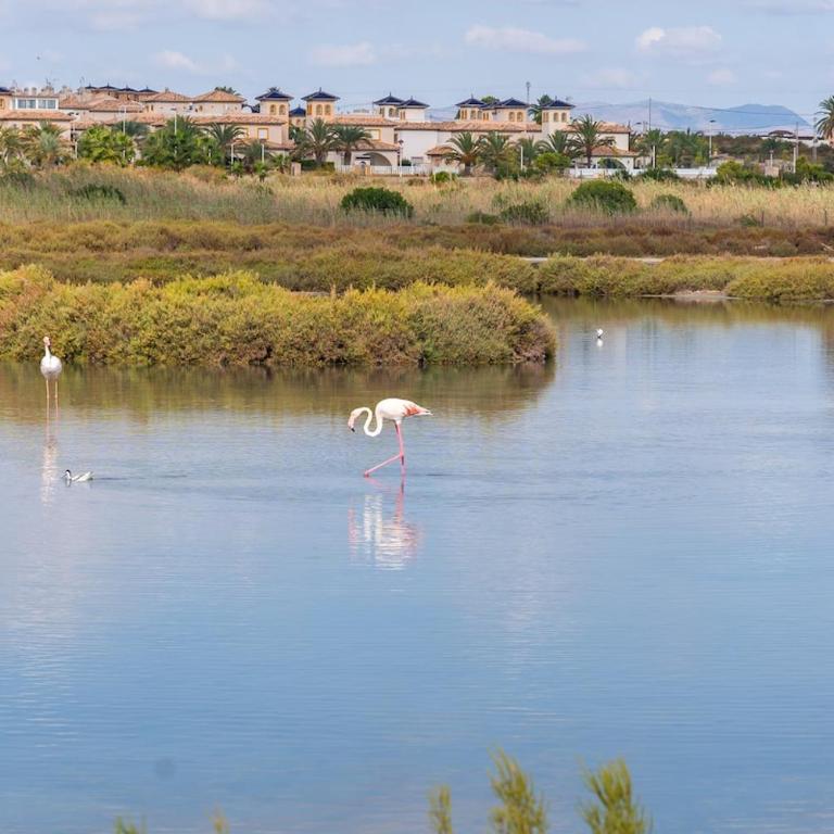 Downtown harborfront accommodation - Apartamento de 2 dormitorios - 25