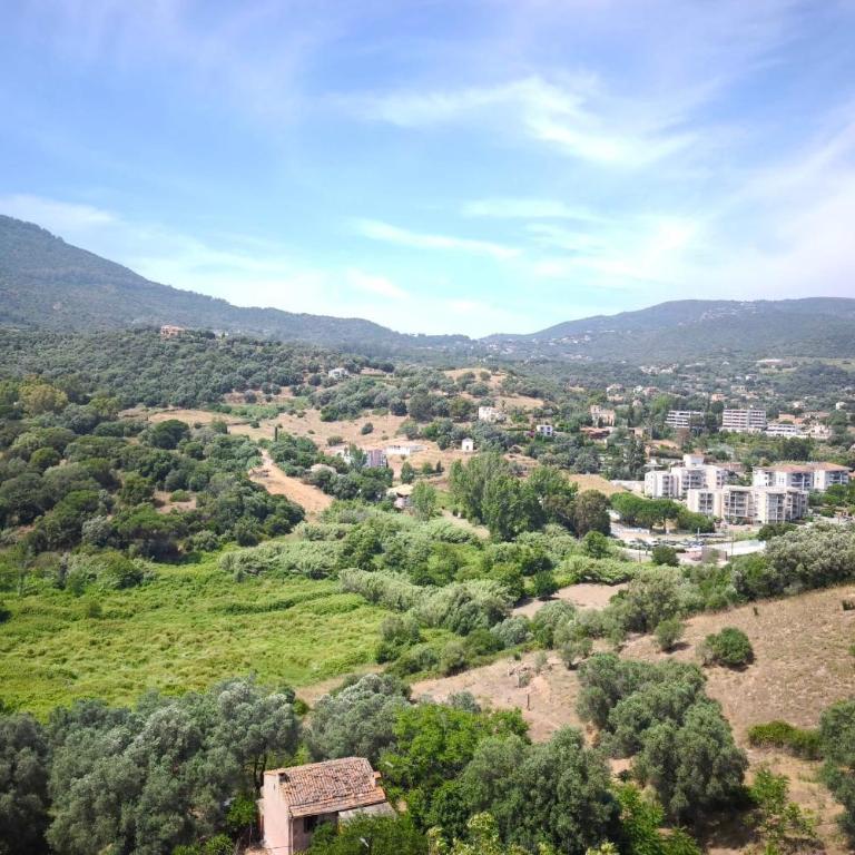 Bright apartment with balcony in Ajaccio - Appartamento - 14