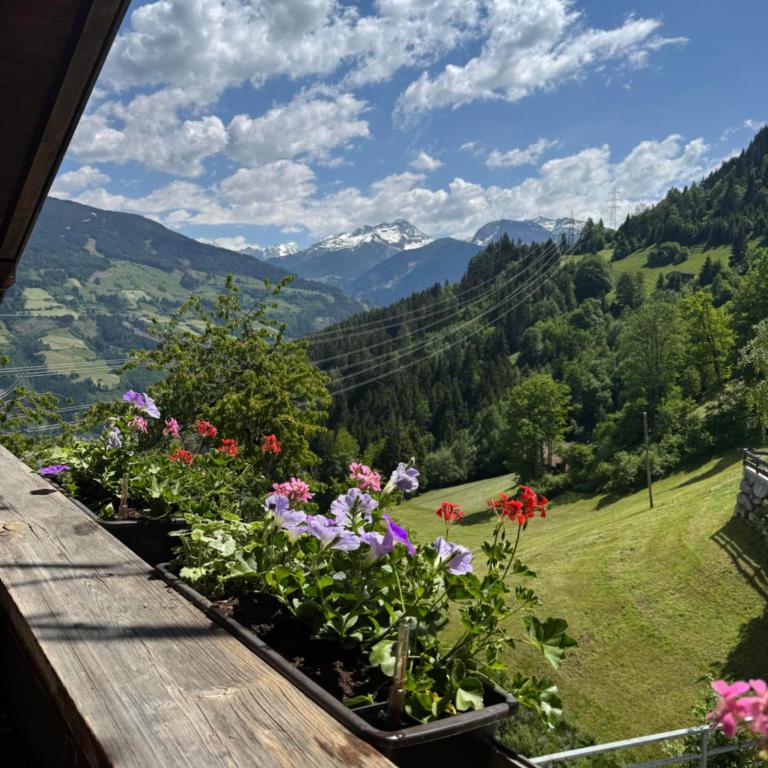 Das Försterhaus 41 - Ferienhaus mit 4 Zimmern - 20