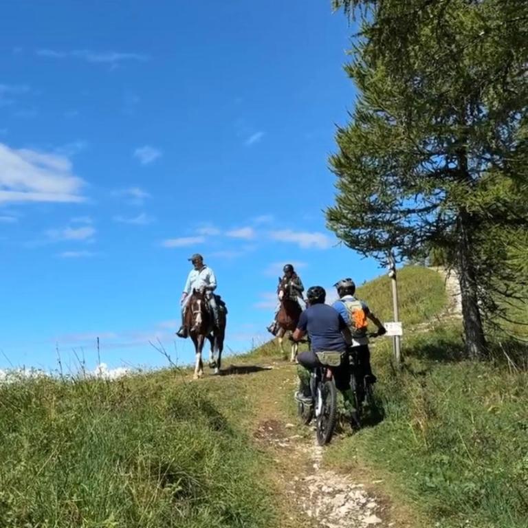 Maso K - Il Gufo Dorato - Apartamento de 2 dormitorios con vistas a la montaña - 57