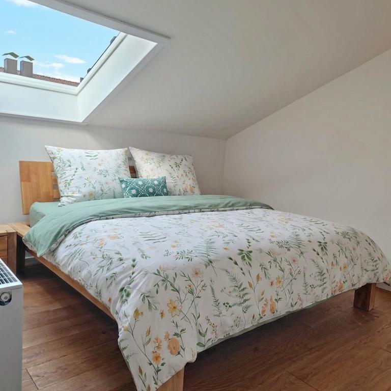 Wohlfühlen mit Bergblick im Kurort Fischen - Apartment mit schöner Aussicht - 4