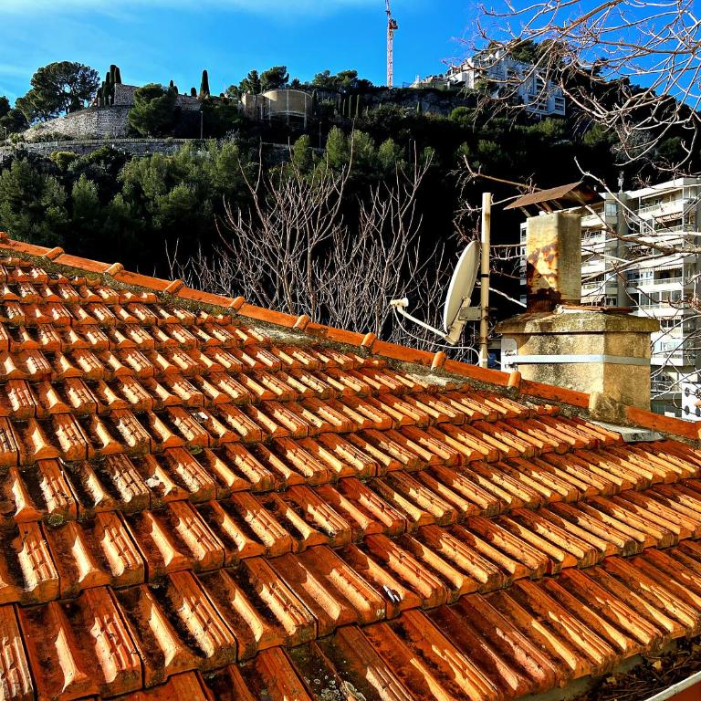 My Residence d'Azur - One-Bedroom Apartment with Bay View - 13