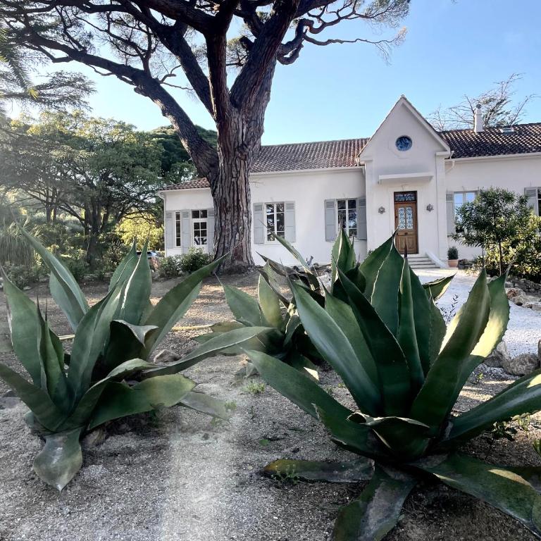 Villa 1907 - Villa avec Piscine Privée - 19