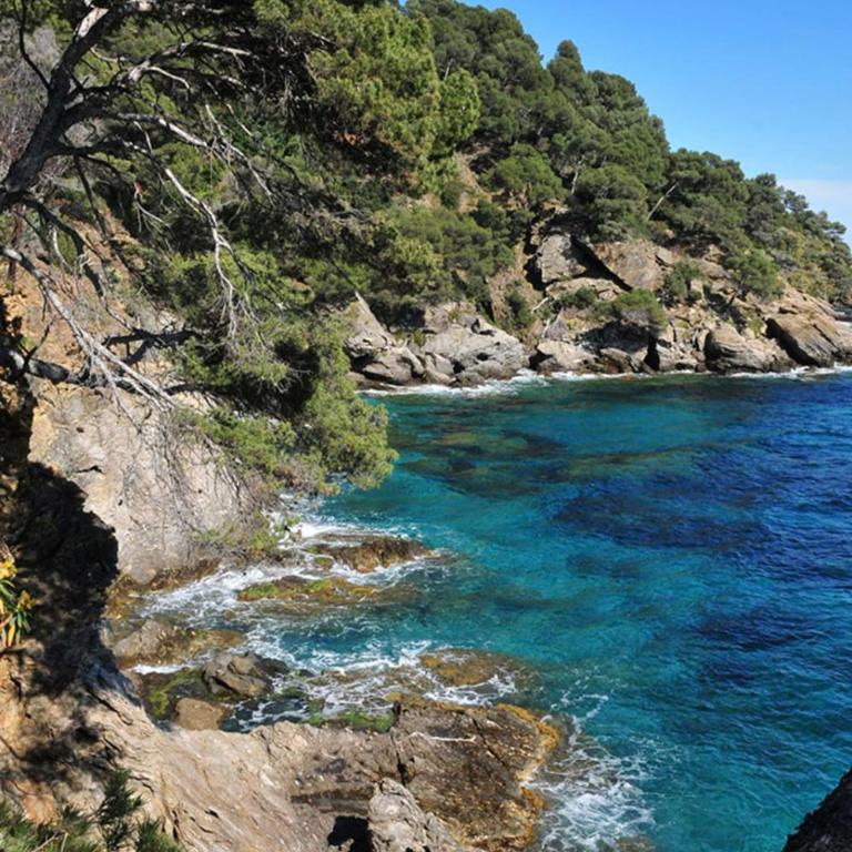 Incroyable vue mer jardin calme à la Villa OSCAR - Maison de Vacances - 23