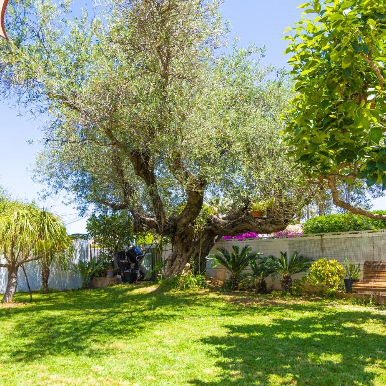 Casa Denia • Jardin • A/C • Piscina privada • WiFi - Chalet de 3 dormitorios - 22