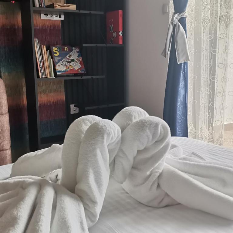 Apartman Bela Zora - Apartman sa Pogledom na Planinu - 7