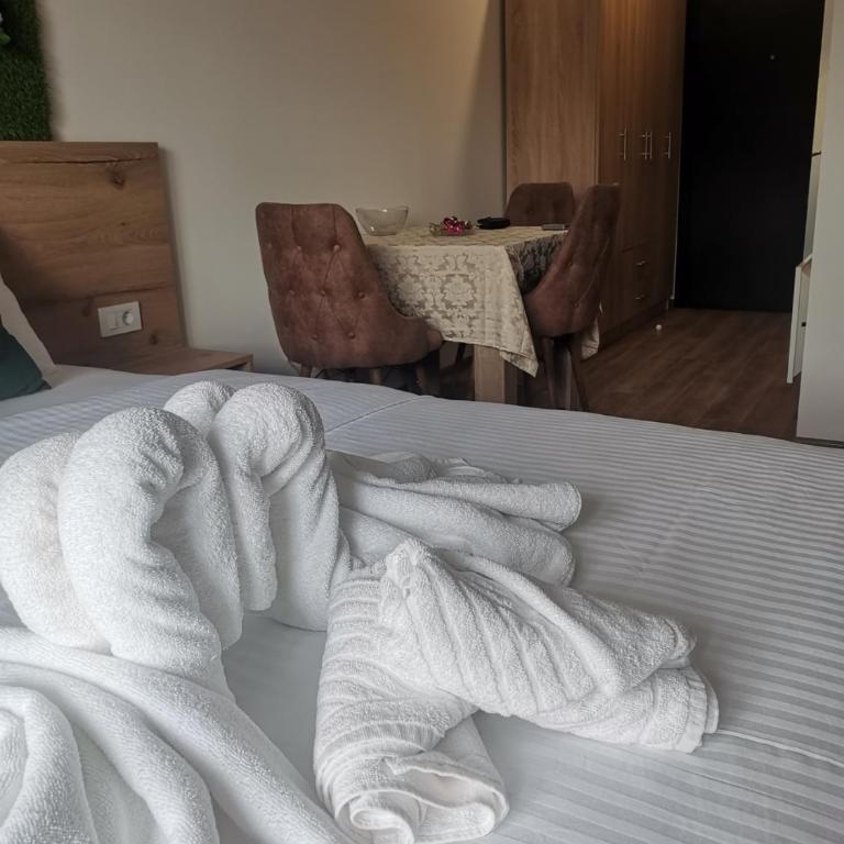 Apartman Bela Zora - Apartman sa Pogledom na Planinu - 14