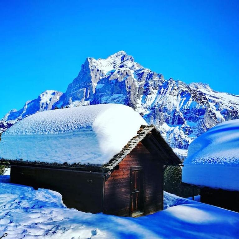 SwissHut Modern 5min Interlaken West Station - Appartamento - 18