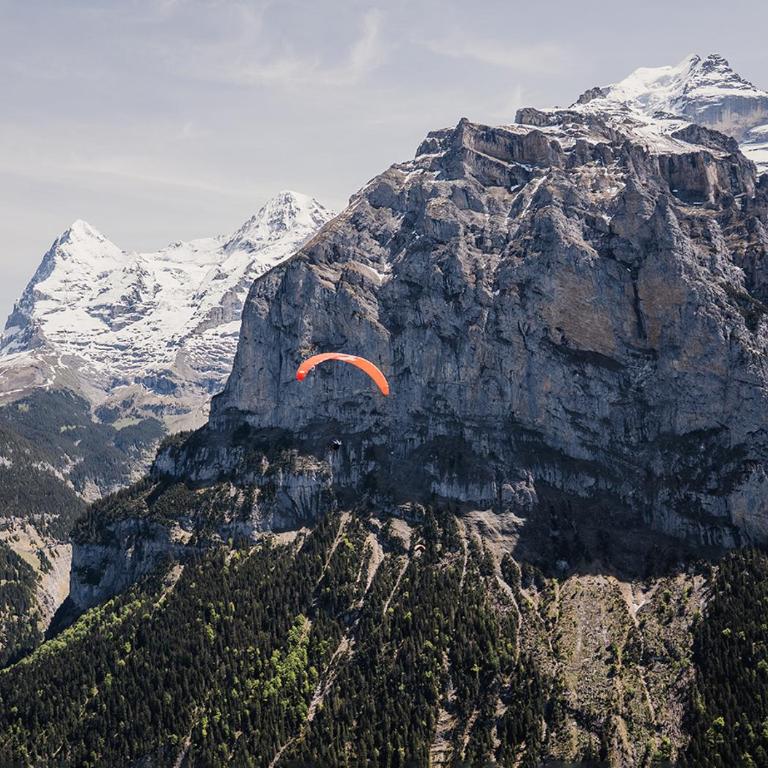 Hotel Edelweiss Superior - Single Room with Eiger View - 4