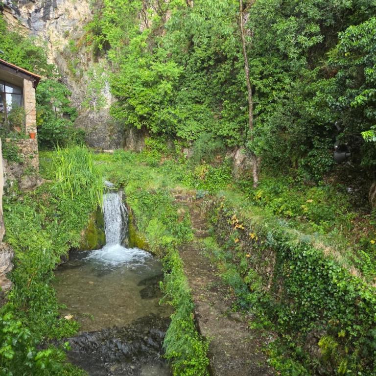 La Bastide Blanche Magnifique villa 5 étoiles 5 chambres et piscine privée sur 6500 m VAR - Villa avec Piscine Privée - 86