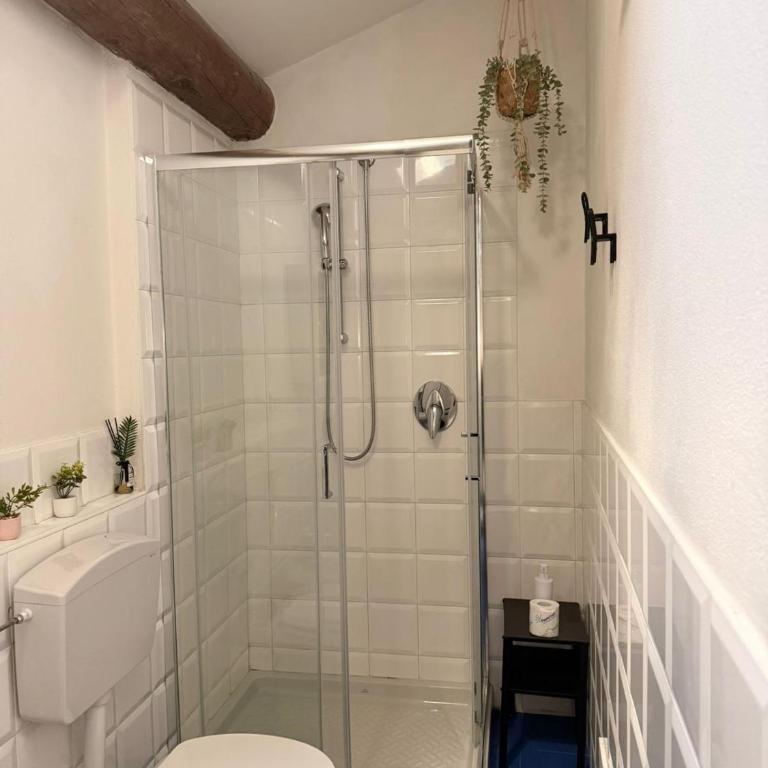 Appartamento moderno centro parma con ascensore - Appartamento con 1 Camera da Letto - 13
