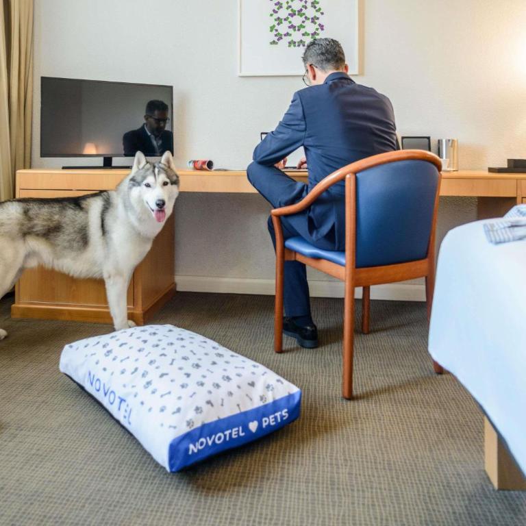 Novotel Torino Corso Giulio Cesare - Executive Double Room - 1