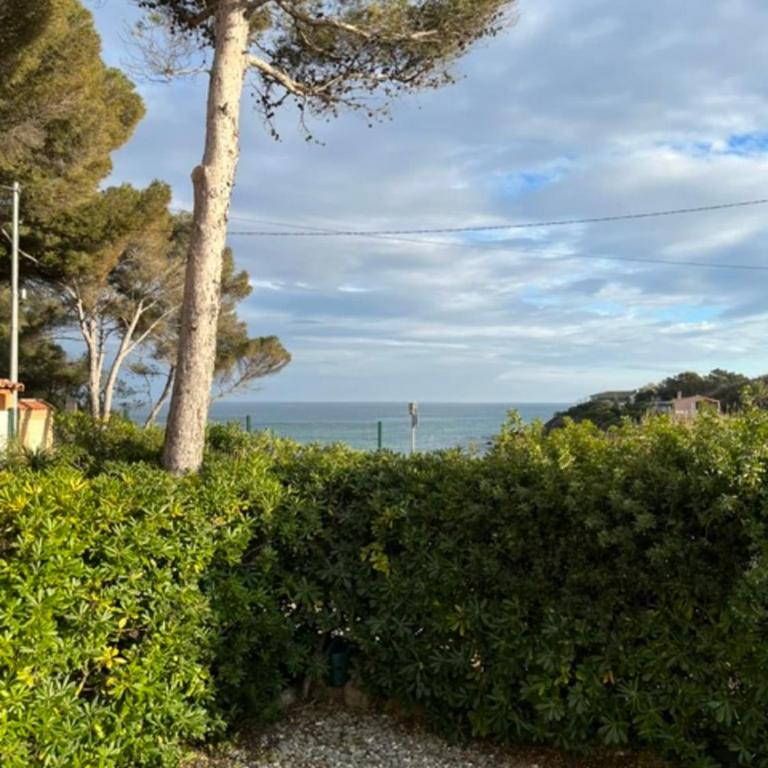 Studio in Saint-Aygulf with direct beach access - Monolocale - 15