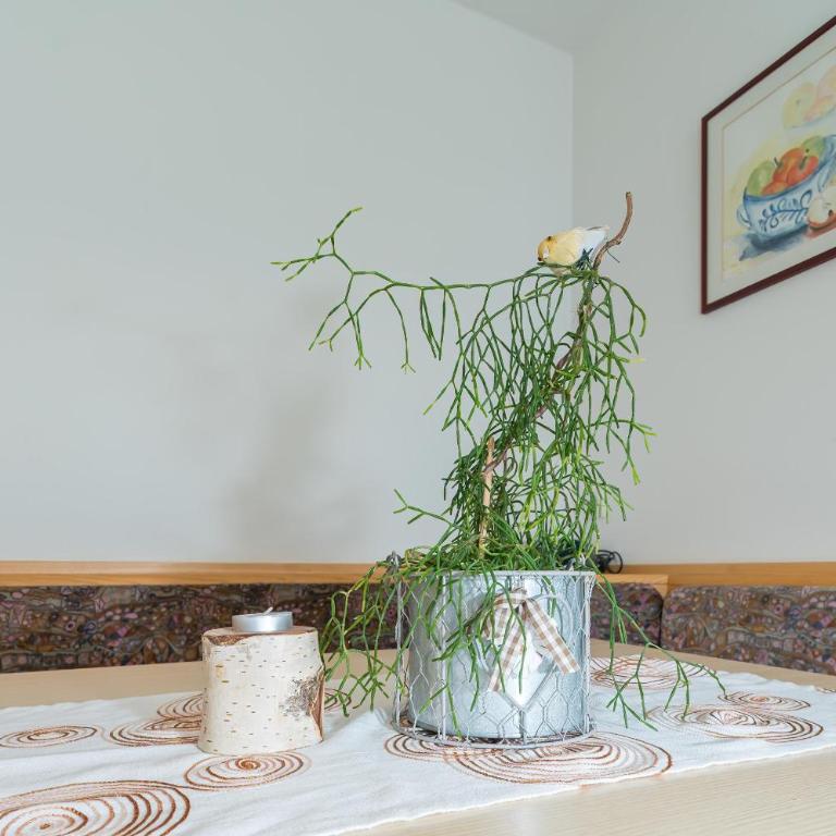Haus Gant - Apartment mit 2 Schlafzimmern und Dusche - 9