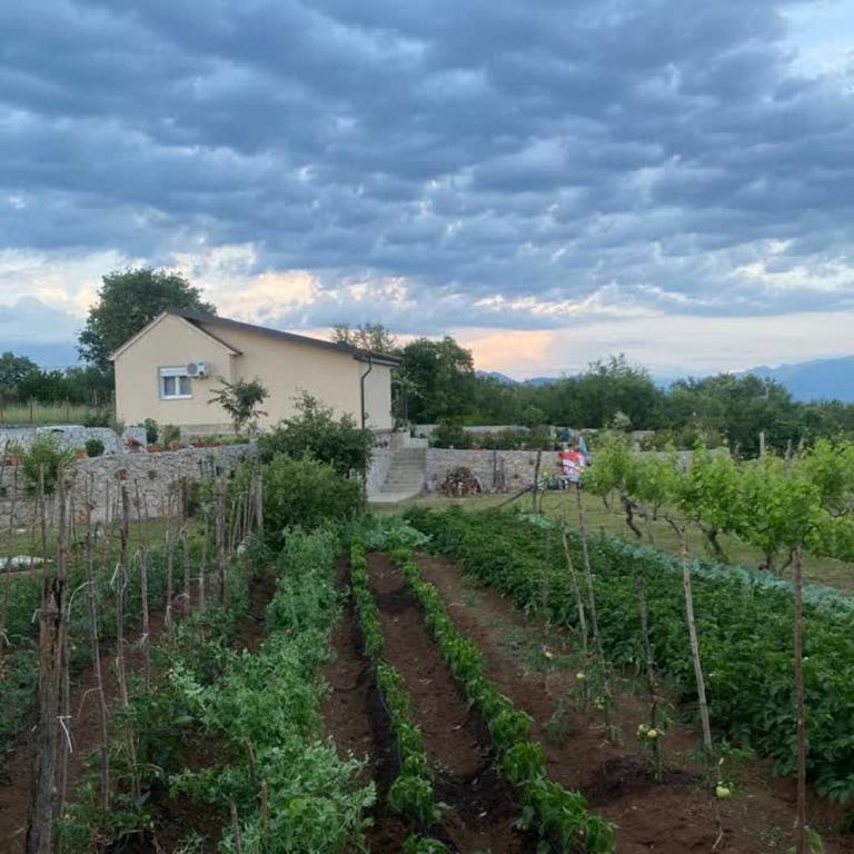Komani Hideout - Kuća sa 1 Spavaćom Sobom - 20