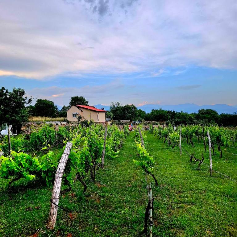 Komani Hideout - Kuća sa 1 Spavaćom Sobom - 33