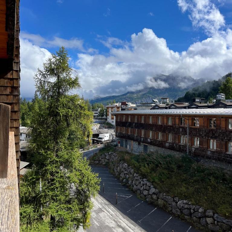 Grand Studio aux pieds des pistes Vue sur piste - Appartement 1 Chambre - 12