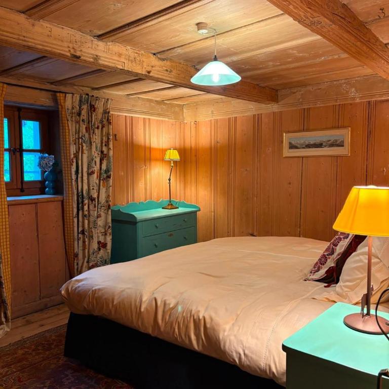 Chalet de montagne sur le TMB - Chalet - 1