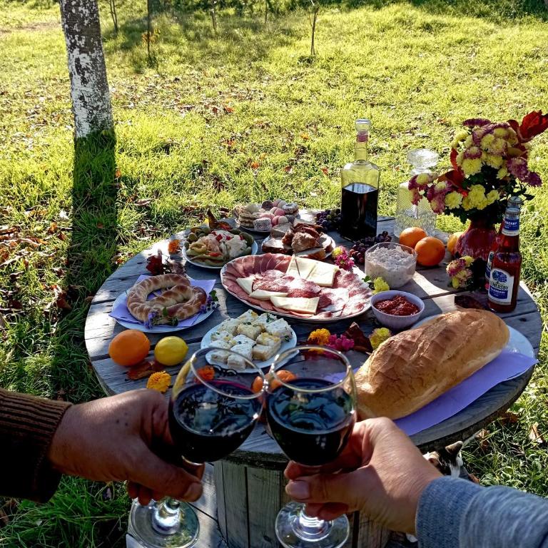 Komani Hideout - Kuća sa 1 Spavaćom Sobom - 36