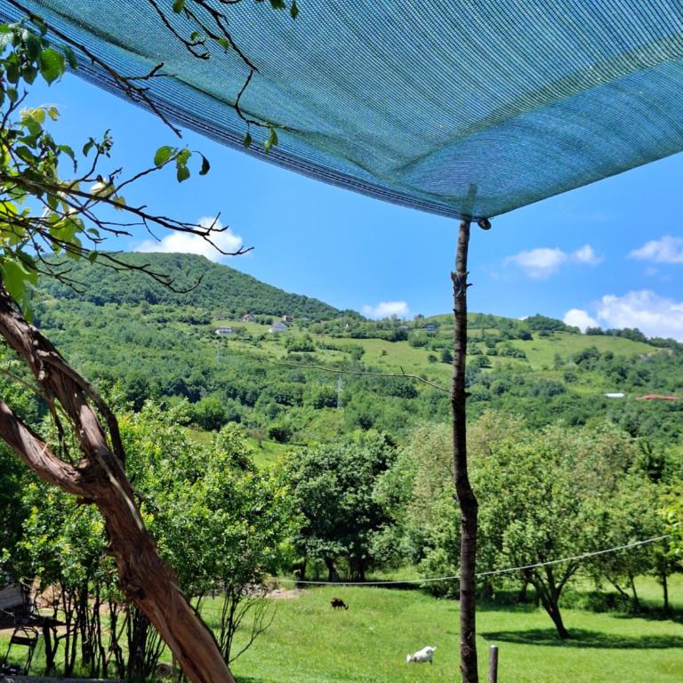 Apartment with Terrace & Countryside View - Apartman sa 1 Spavaćom Sobom - 10