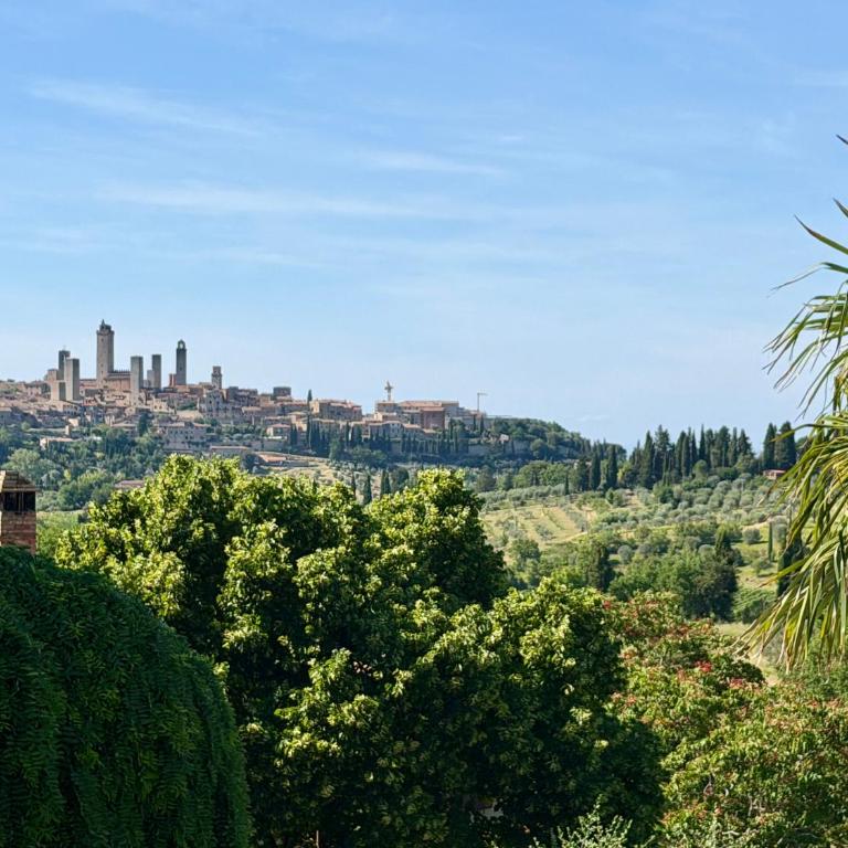 Bed & Breakfast Casale Gregoriano - Suite with City View - 3