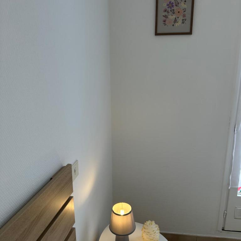 Appartement T2 avec terrasse privée, 4 couchages, tout proche de la cure thermale, centre-ville - Apartment mit 1 Schlafzimmer - 34