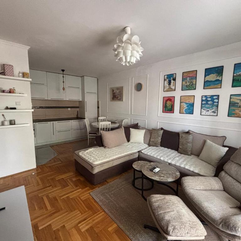 Modern apartment plus FREE parking , near city center, shopping center Big, Clinical Center of Montenegro and city quarter - One-Bedroom Apartment - 1