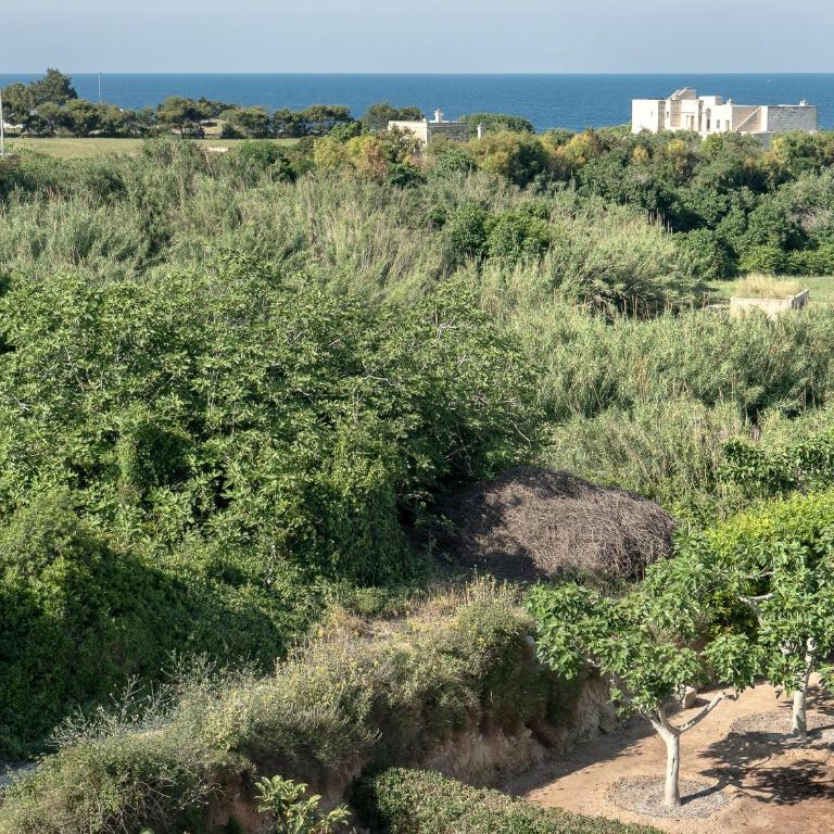 Attico ad Otranto - Casa con 1 Camera da Letto - 13