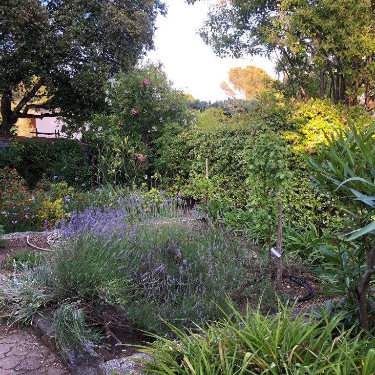 Villa Gecko - Apartment with Garden View - 14