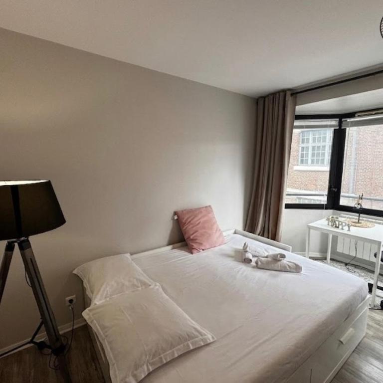Studio Horizon Amiens - Appartement 1 Chambre - 4