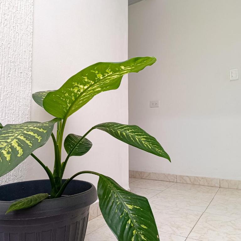 Apartamento con Esencia Natural - Apartamento de 2 dormitorios - 12