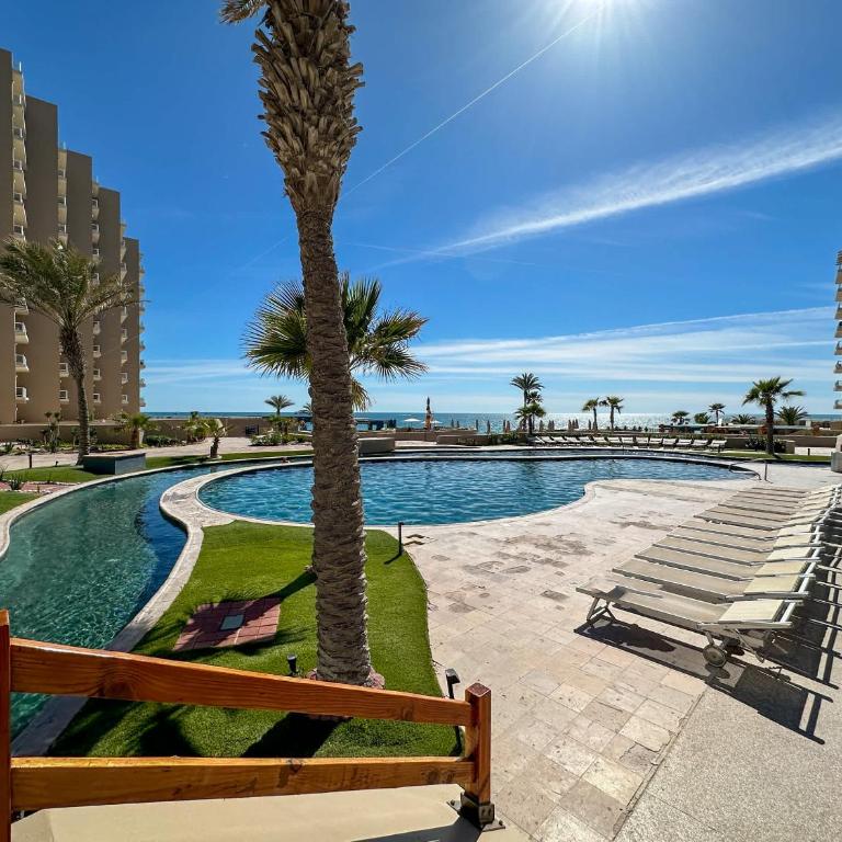 Beachfront Elegance at Las Palomas - Appartement - 80