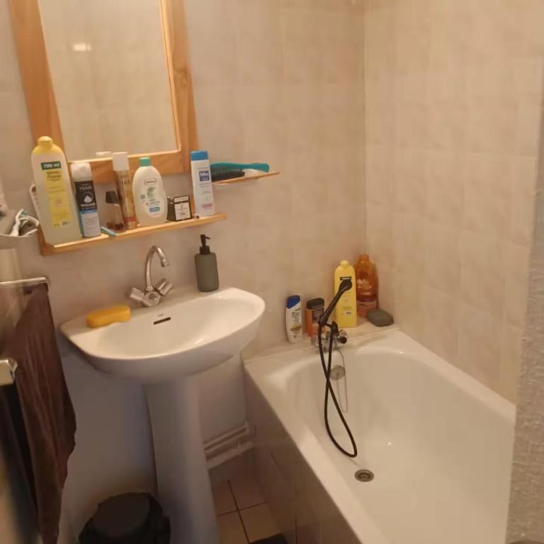 Bel appartement à la Montagne - Appartement 1 Chambre - 4