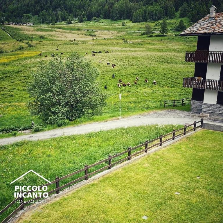 Piccolo Incanto Vacation Home - Apartamento de 1 dormitorio - 9