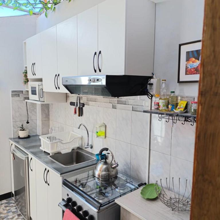 Private loft, comfortable - Apartamento de 1 dormitorio - 30