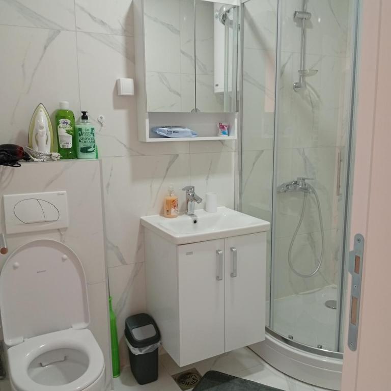Blue House Apartment Plus - Apartman sa 2 Spavaće Sobe - 10