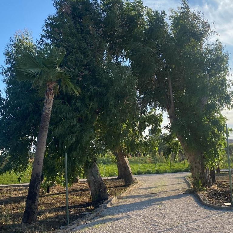 Villino Rio del Mare - Casa con 3 Camere da Letto - 49
