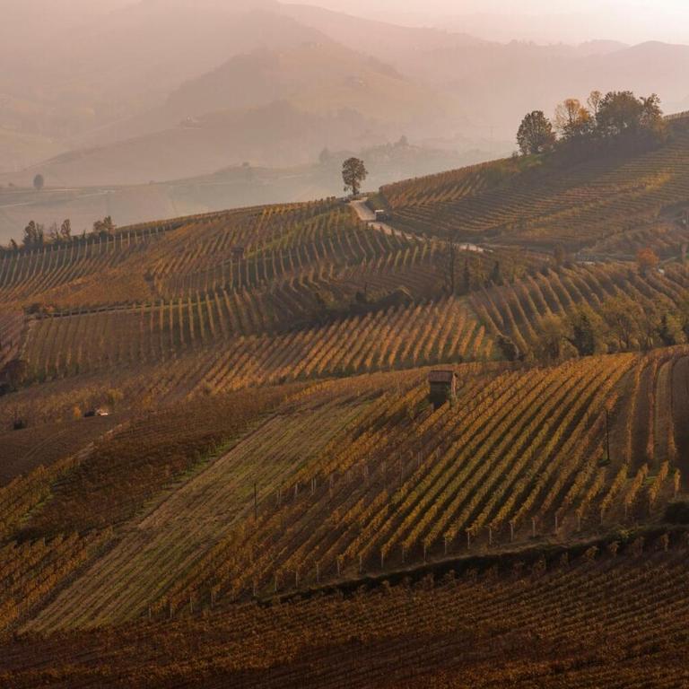 Sky & Vineyards - Melograno - - Appartamento con 2 Camere da Letto - 22