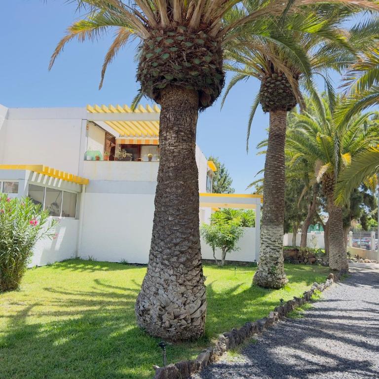 Bebo House 363 - Estudio con terraza - 12