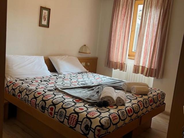 Albergo Genziana - Camera Matrimoniale/Doppia con Letti Singoli - 1