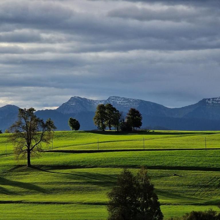 Blütenlodge Allgäu - FeWo Falken - Appartamento con 1 Camera da Letto - 24