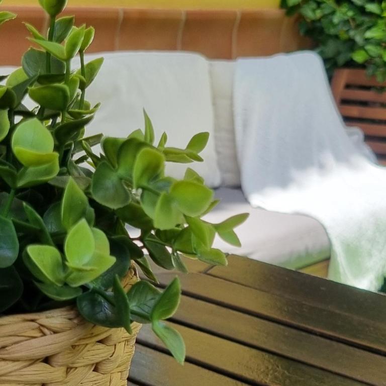 Spacious Apartment with Garden & Terrace - Apartment - Ground Floor - 3