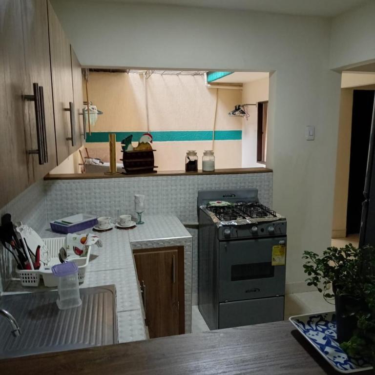 Ginebramagico - Apartamento de 1 dormitorio - 11