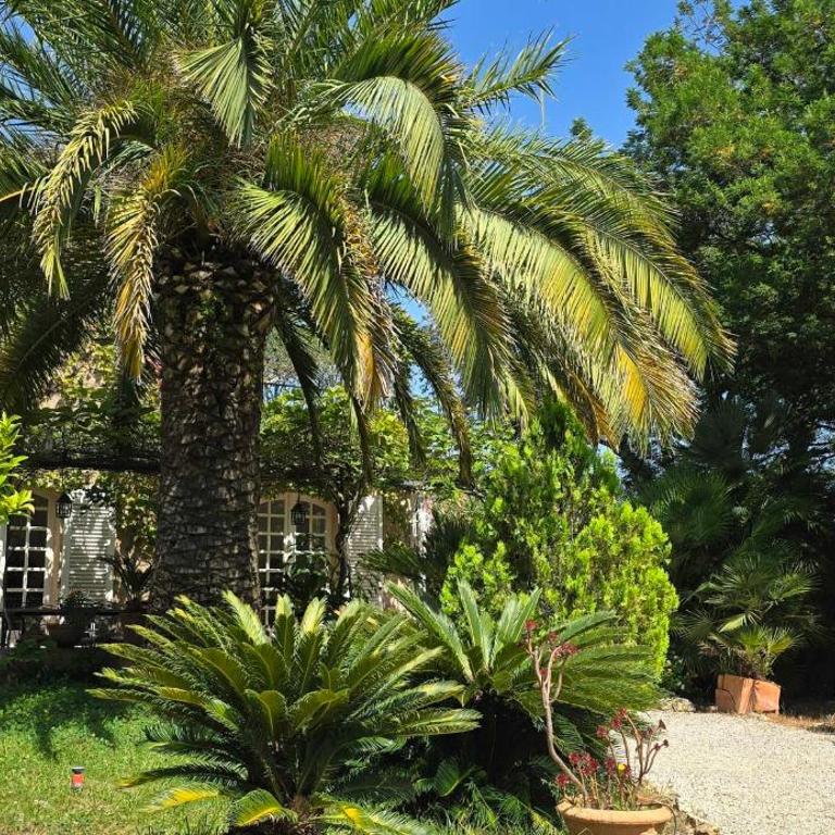 Rez-de-jardin élégant avec jacuzzi Calme - Maison de Vacances - 18