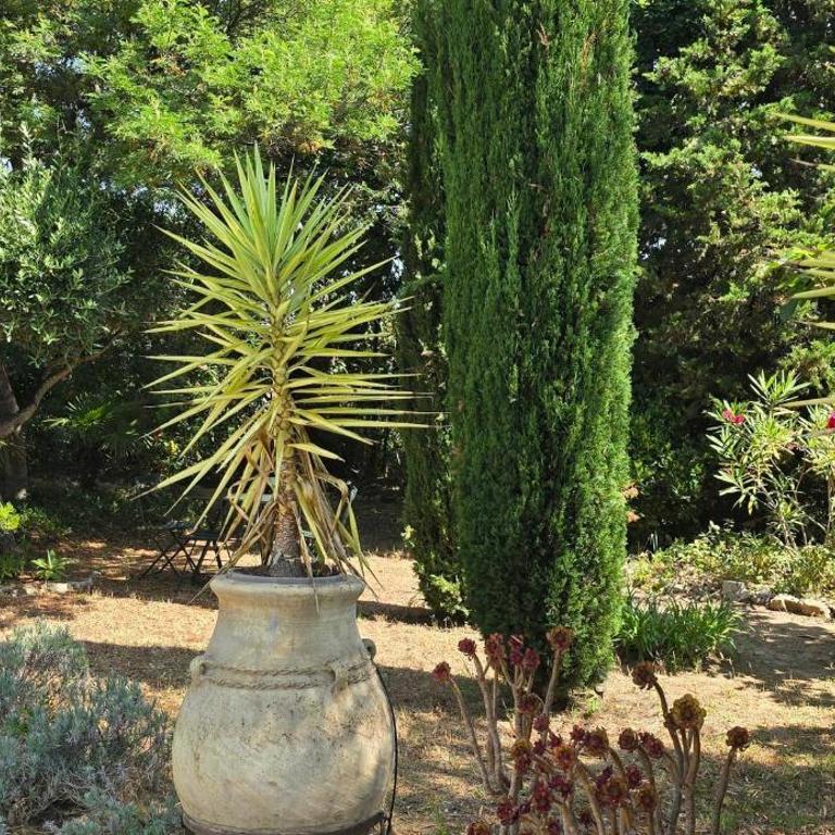 Rez-de-jardin élégant avec jacuzzi Calme - Maison de Vacances - 30