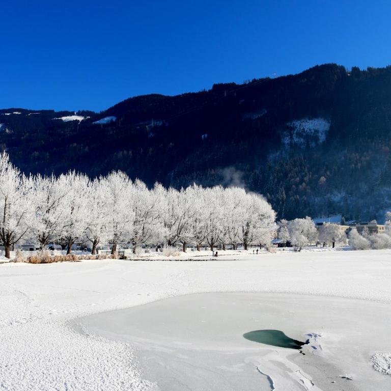 Appartements Prielau by we rent, SUMMERCARD INCLUDED - Chalet mit 2 Schlafzimmern - 39