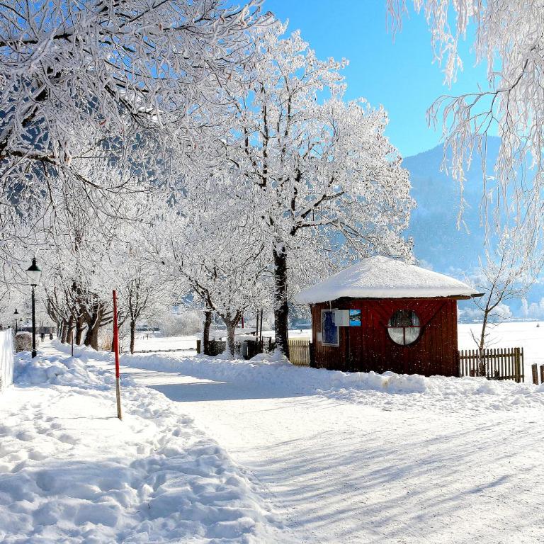 Appartements Prielau by we rent, SUMMERCARD INCLUDED - Chalet mit 2 Schlafzimmern - 35