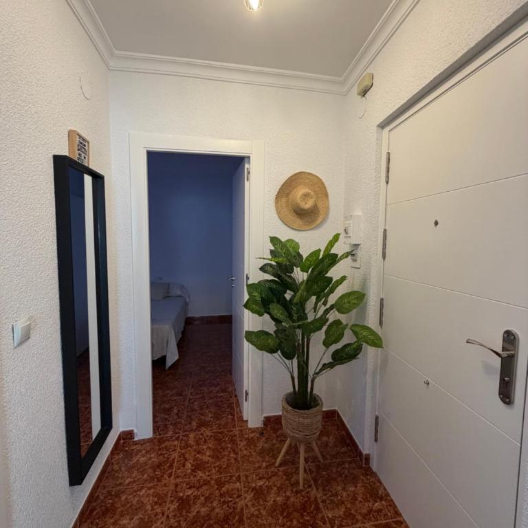 Descanso y diversión en pleno centro de Almuñécar - Apartamento de 3 dormitorios - 10