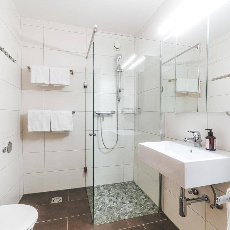 Studio 28 Kaprun inkl Sommerkarte - Studio-Apartment mit Balkon - 4