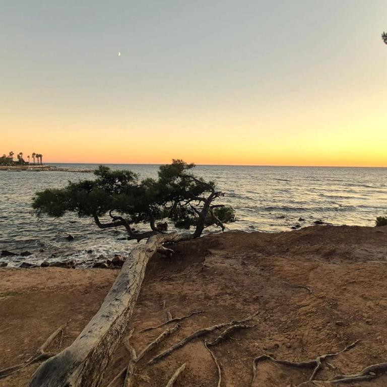 Séjour tout confort au cœur de La Seyne-sur-Mer - Appartement - 14